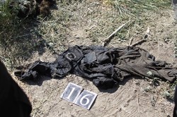 Шокирующая находка: возле Таромского обнаружили десятки мешков с вещами погибших под Иловайском / ФОТО