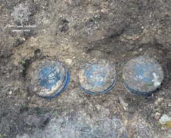 В Кривом Роге обнаружили закопанный в бочках арсенал оружия